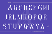 Hepab - Branding Logo Font, a Serif Font by Nirmana Visual (Thumbnail 3 of 10)