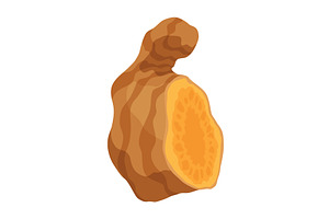 Turmeric root plant, icon. Natural, a Food Illustration by the8monkey