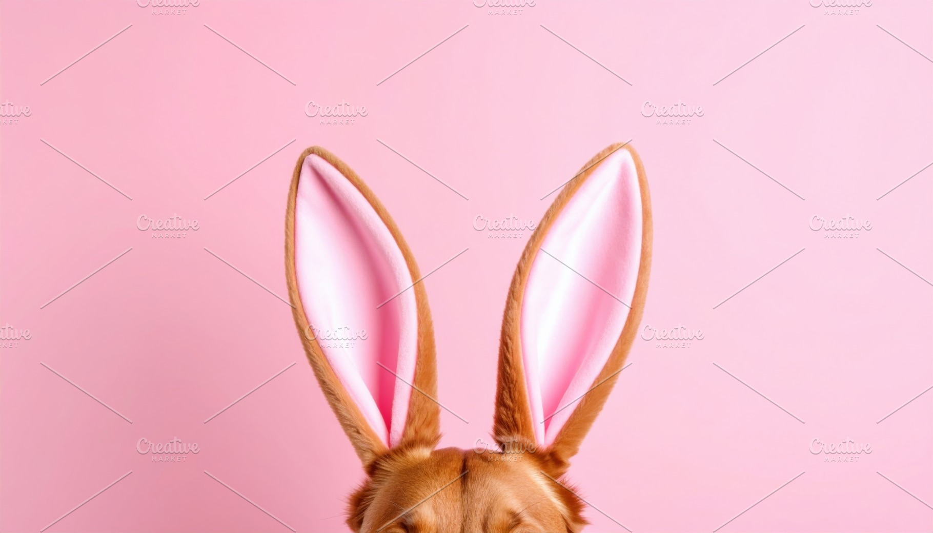Cute Easter Rabbit with Pink Ears on Pink Background, an Animal Photo by Igor Tichonow