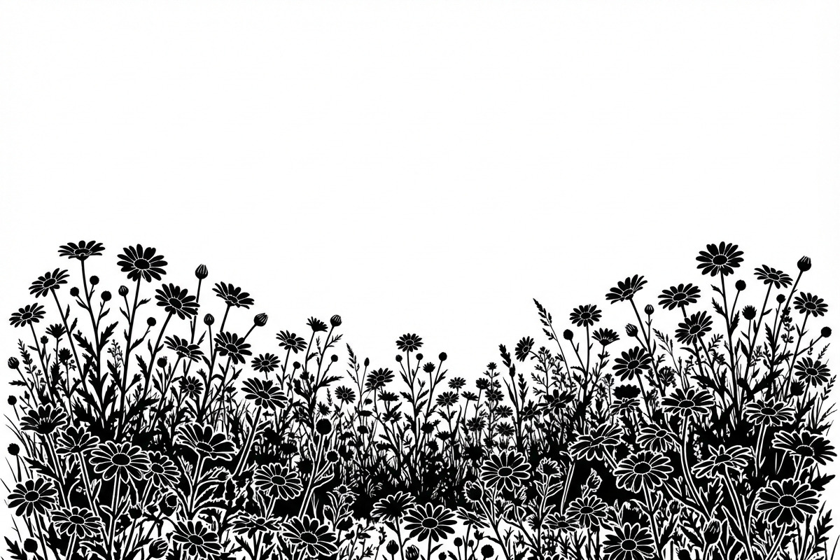 60 Daisy Flower Field Silhouette, a Seasonal Illustration by Amazin_art (Photo 32 of 35)
