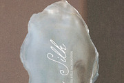 Oyster Silk | Shell Textures, a Background Graphic by Purple (Thumbnail 6 of 8)
