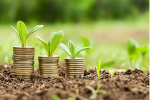 Growing Stacks of Coins with Plants, a Business Photo by Lermont51