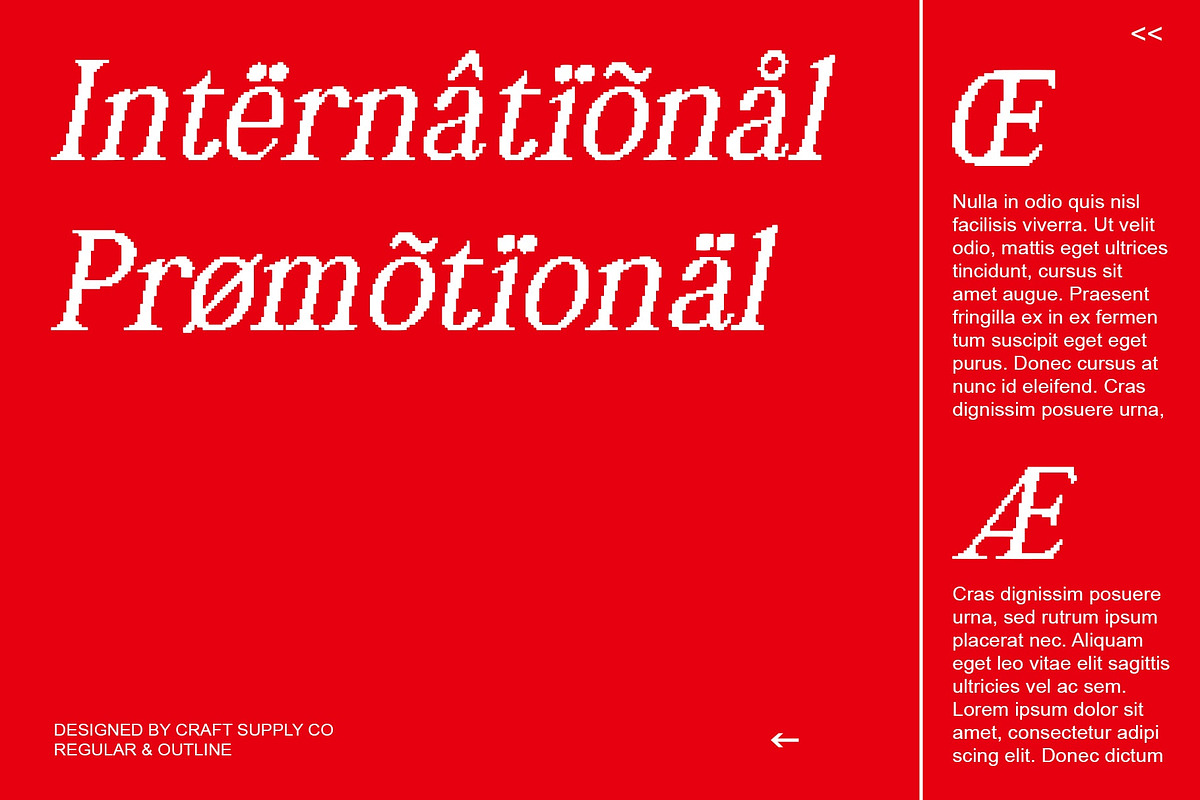 Asthetic Pixel, a Serif Font by Craft Supply Co. (Photo 6 of 8)