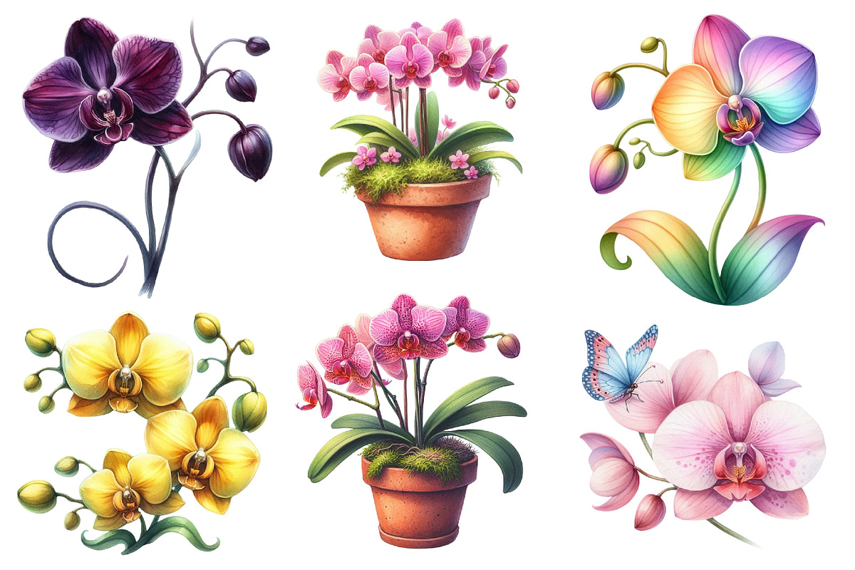 Watercolor Orchid Clipart, an Illustration by Designworld (Photo 2 of 7)