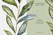 Watercolor Olive Branches & Wreaths, a Decorative Illustration by Pigment Café (Thumbnail 7 of 8)