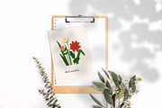 Floral greeting card designs set, a Decorative Illustration by Good Studio (Thumbnail 4 of 6)