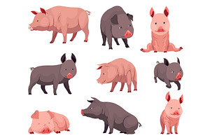 Pig set flat cartoon isolated on, an Animal Illustration by the8monkey
