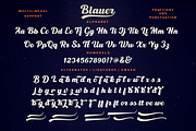 Blauer, a Script Font by Larin Type Co. (Thumbnail 10 of 10)