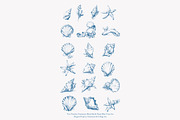 seashell clipart ocean sketch set, a Decorative Illustration by Patishop Art (Thumbnail 9 of 9)
