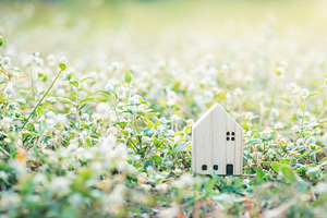 House model  in green field.