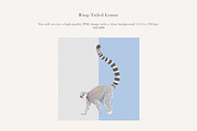 Ring-Tailed Lemur Illustration - PNG, an Animal Illustration by LaurenFittonIllustration (Thumbnail 2 of 8)