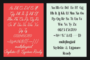 Luminense Font Duo, a Script Font by Letter Fresh (Thumbnail 9 of 10)