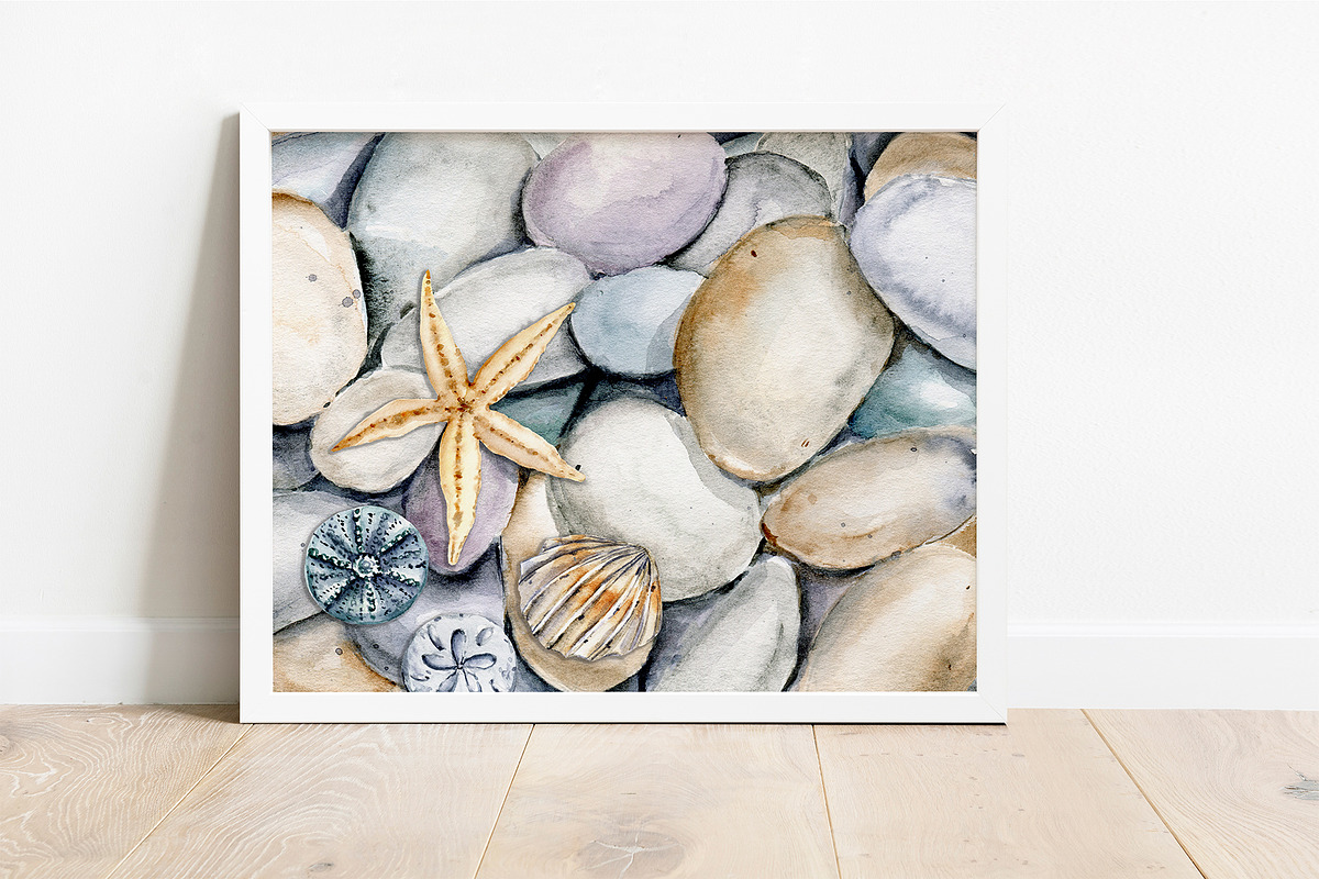 Shells, beach watercolor set., an Illustration by Larisa Maslova (Photo 4 of 13)