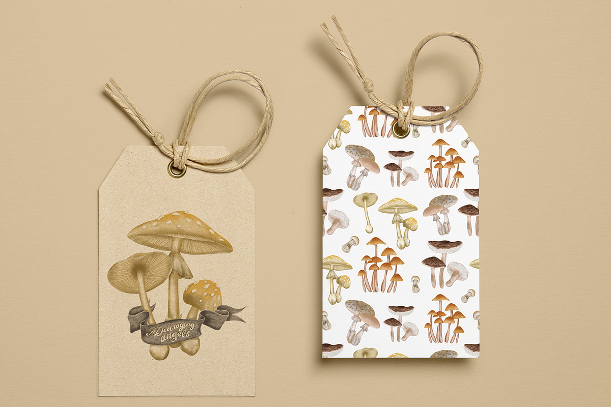 Poisonous mushrooms clipart, an Education Illustration by Yelloo Fish (Photo 9 of 10)