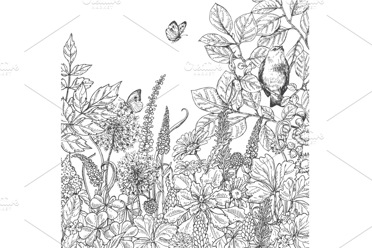 Birds on Branches Sketch, a Decorative Illustration by Valentyna Smordova (Photo 5 of 9)