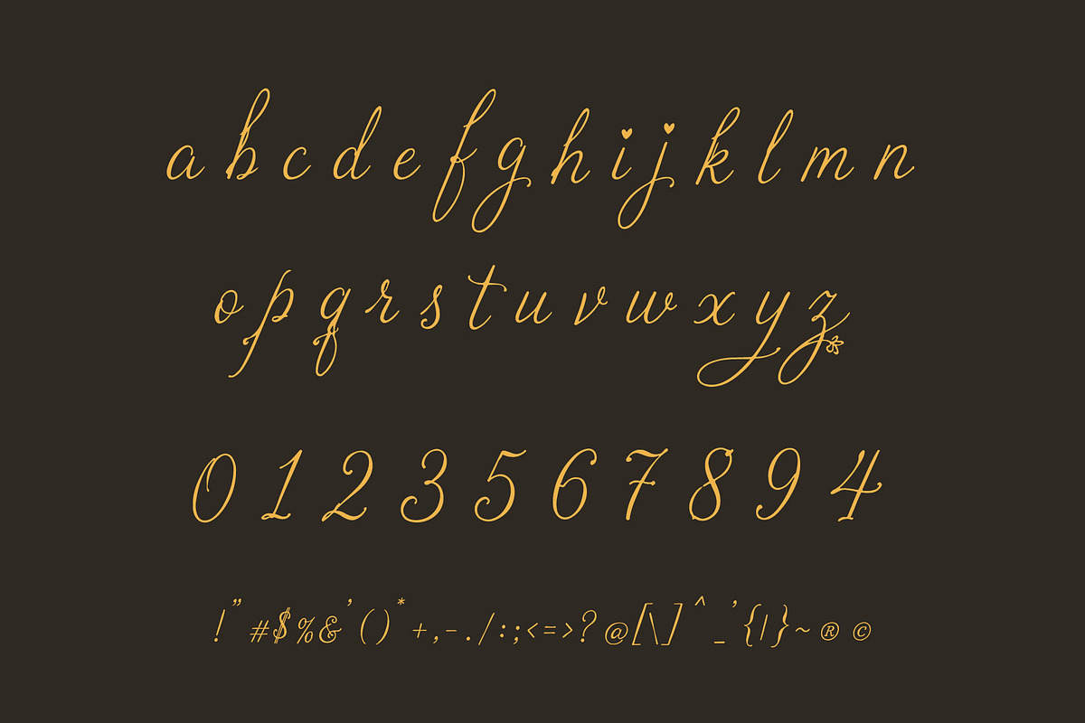 Arine Rosevaly - Romantic Script, a Script Font by HypeWorksCo (Photo 15 of 15)
