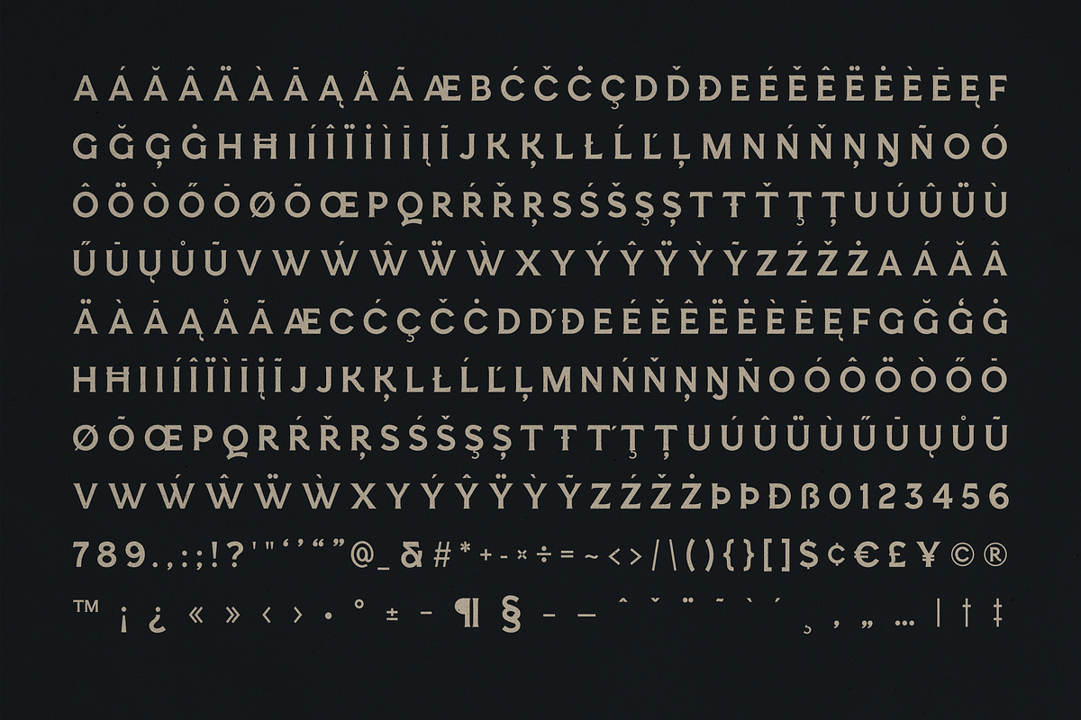 Esquie - from serif to sans typeface, a Serif Font by VP Fonts (Photo 14 of 16)