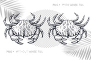 Crab Sketch Editable illustrations, an Object Graphic by Aquatinta (Thumbnail 3 of 11)