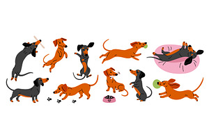 Cartoon happy dachshund character, an Animal Illustration by YummyBuum