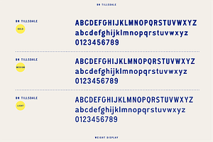 BN Tillsdale: Hand-drawn Font Family