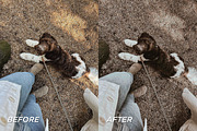 15 Moody Fall Lightroom Presets, a Preset Add-On by TheWayfarerShoppe (Thumbnail 6 of 9)