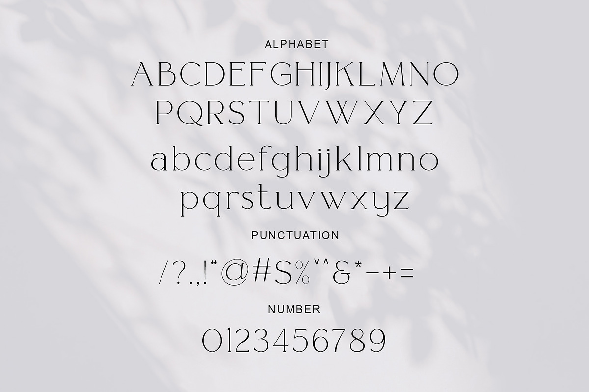 Manrog Modern Ligature Typeface, a Serif Font by BOOSH Studio (Photo 3 of 5)
