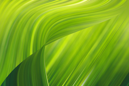Abstract color lines background.