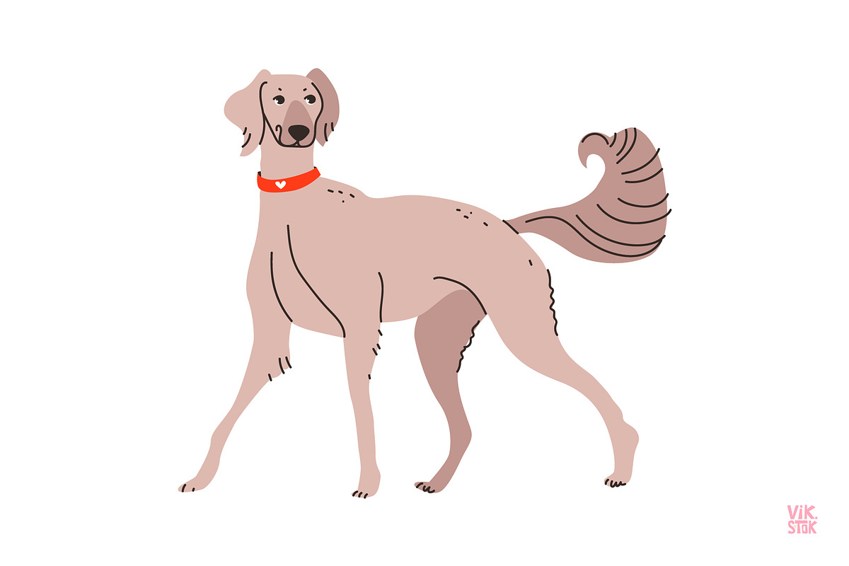 Cute dogs of different breeds set, an Animal Illustration by vik.stock (Photo 10 of 11)