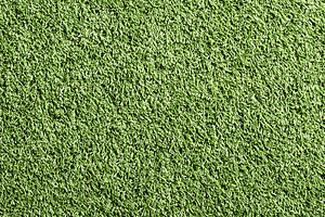 A close up view of green grass, a Nature Photo by MistyDay