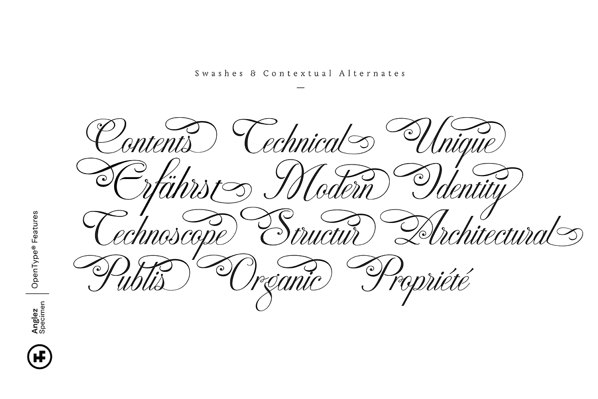 Anglez Script, a Script Font by Hurufatfont (Photo 10 of 10)
