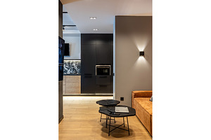 Modern open plan kitchen and living