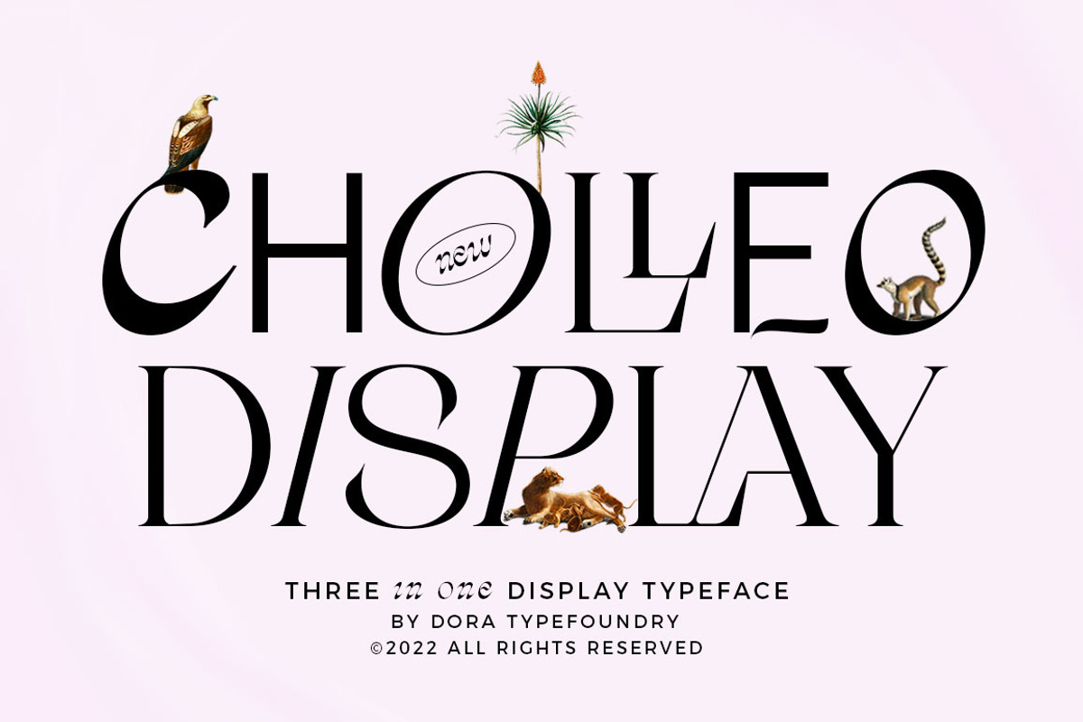 Cholleo Display, a Serif Font by Dora Typefoundry (Photo 1 of 18)