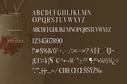 Charthe Modern Font Serif, a Serif Font by Storytype Studio (Thumbnail 13 of 15)