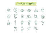 Flowers, Plants & Botanical Icons, an Icon by Caroline Mackay (Thumbnail 4 of 9)
