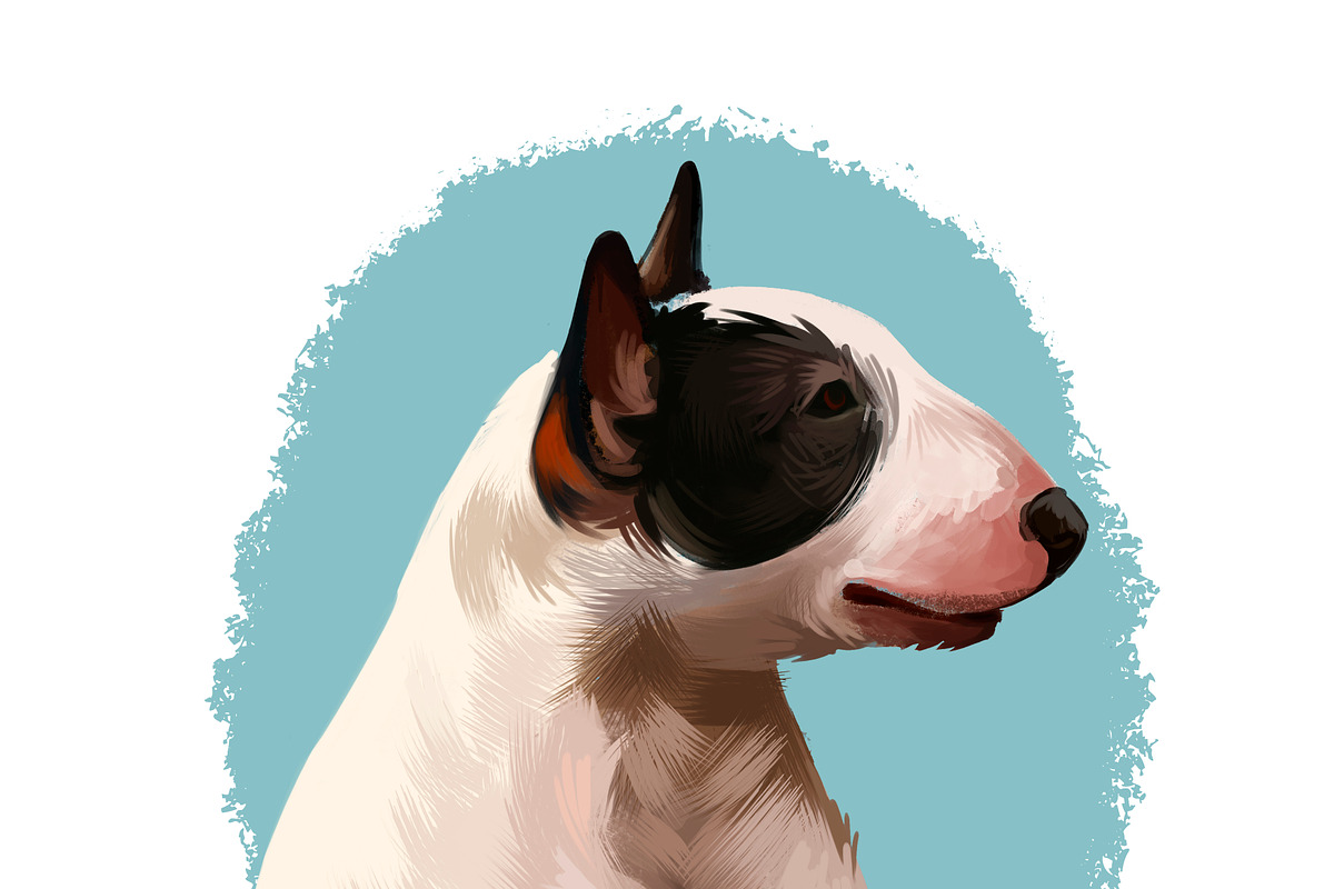 Popular Dog Breeds in World Pets Set, an Illustration by Dneprstock (Photo 4 of 4)