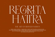 Gandis Elegant Serif Font, a Serif Font by Elegant Font (Thumbnail 2 of 8)