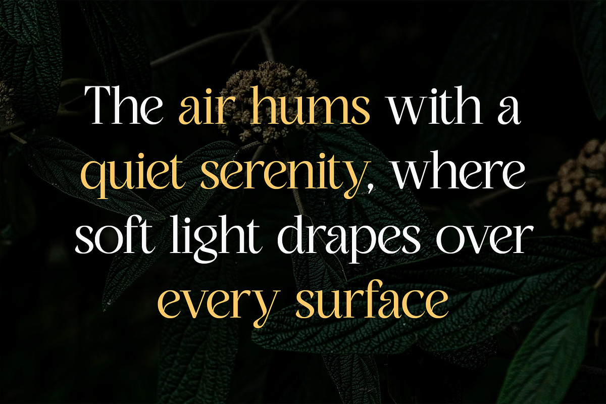 CS Quiles – Elegant Font, a Serif Font by Craft Supply Co. (Photo 2 of 8)
