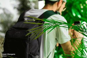 Green Summer - 5 Lightroom Presets