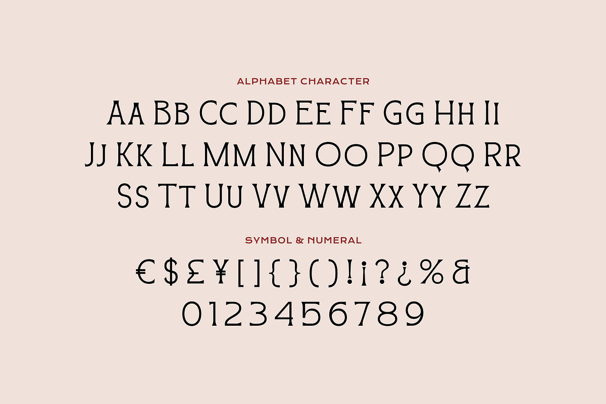 Blossom Noir -Aesthetic Display Font, a Serif Font by Fype Co. (Photo 5 of 5)