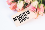 Snow Winter | Script Font, a Script Font by Scratchones (Thumbnail 3 of 8)
