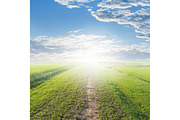 50 Fields background Set 01, a Texture Graphic by FWStudio (Thumbnail 11 of 13)