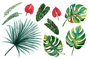 Sale Spring Jungle Blooming, a Decorative Illustration by Planolla (Thumbnail 2 of 2)