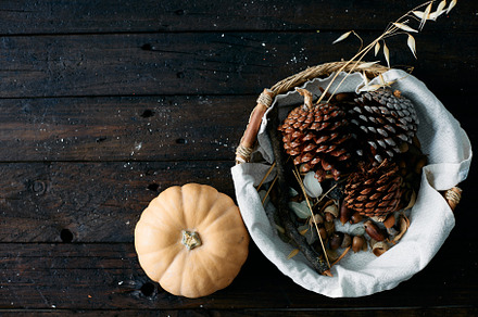 Set of pine cones and holm oak leaves in an esparto basket next to a yellow pum, a Food & Drink Photo by YossSabalet