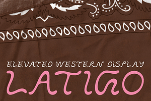 LATIGO by Abby Leighton, a Script Font by Abby Leighton Studio