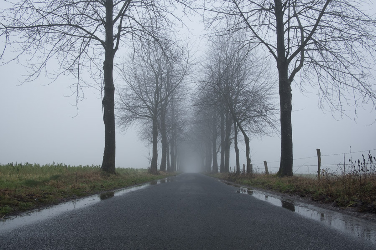 Foggy Day Lightroom Preset, an Action Add-On by Daniel Bartel (Photo 6 of 7)