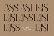 Blastigo - A Modern Stylish Serif, a Serif Font by Qweera Studio (Thumbnail 10 of 12)