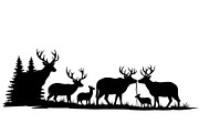 Wildlife Forest Silhouette Vector Bu, an Illustration by Designs_River (Thumbnail 9 of 51)
