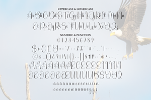 Eagle Script Font