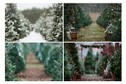 Christmas Tree Farm Digital Backdrop, a Layer Style Add-On by Wild Honey Design Co. (Thumbnail 3 of 4)