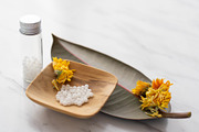 Calendula Homeopathic Medicine, a Health & Medical Photo by Wellness Stock Market (Thumbnail 2 of 2)